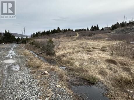 Property Photo:  7A Cotters Street  NL A1Y 1A7 
