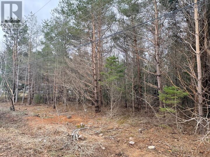 Property Photo:  Lot 3 Wanda Lynn Drive  NS B0S 1P0 