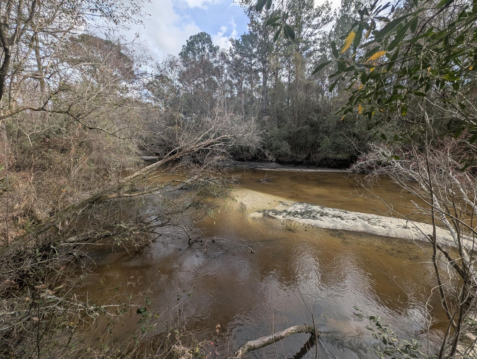 Property Photo:  Lot 9 Plantation Lane  FL 32433 