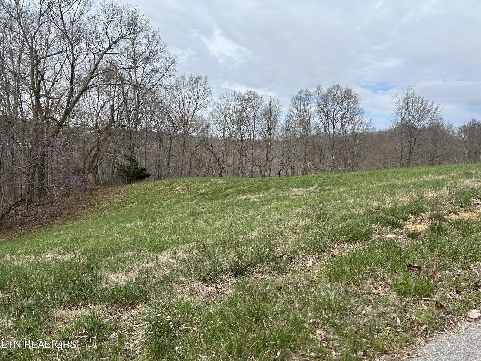 Property Photo:  Lot 260-B Marble Point Way  TN 37825 
