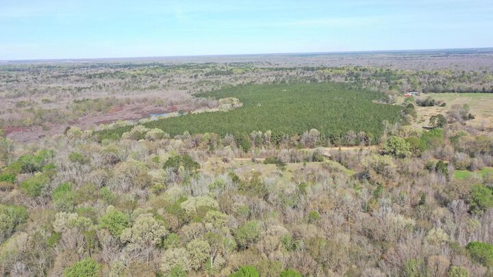 Property Photo:  Tbd Cr 2513  TX 75568 