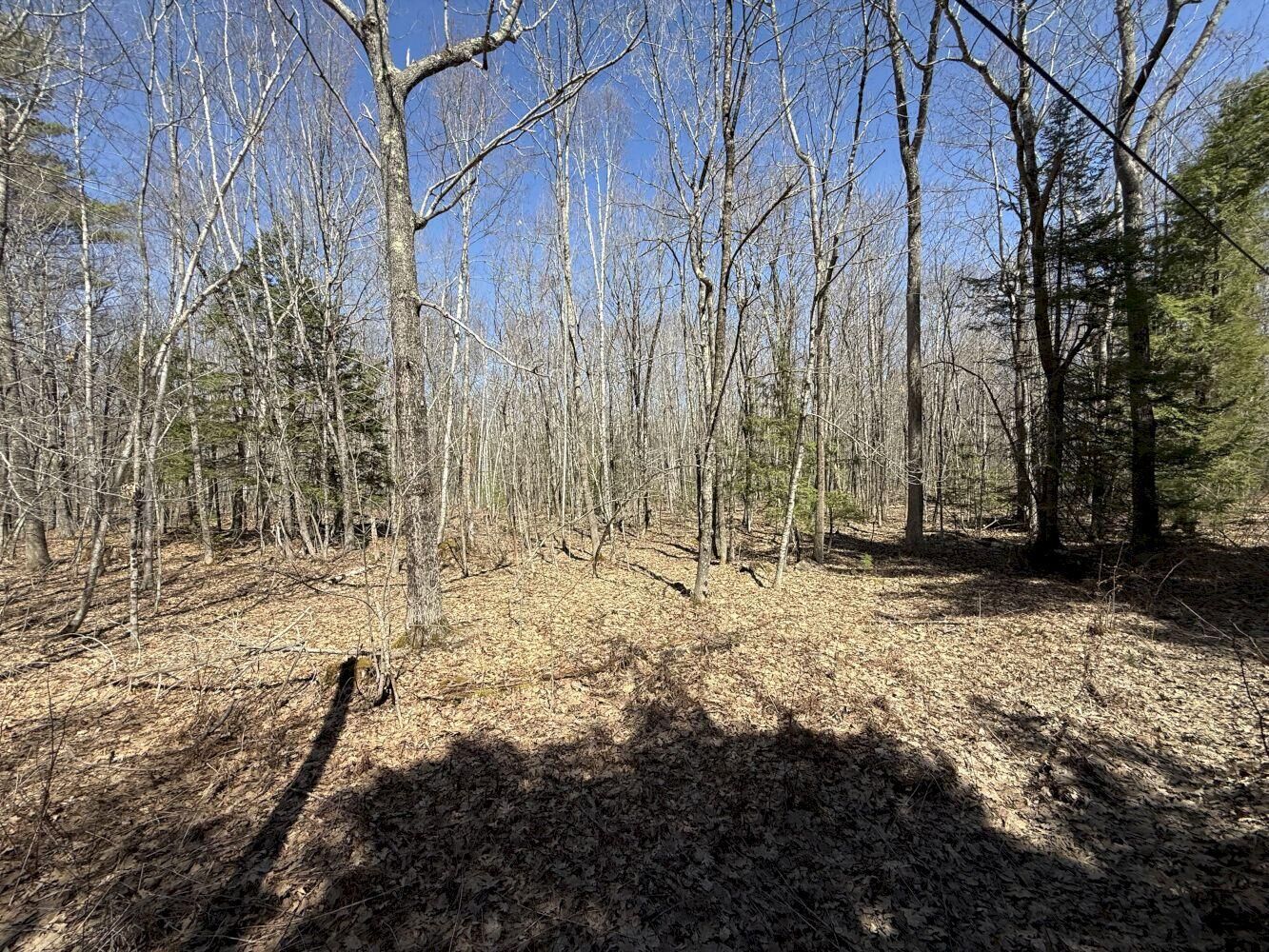 Property Photo:  M14 L39 Sandy Point Road  ME 04989 