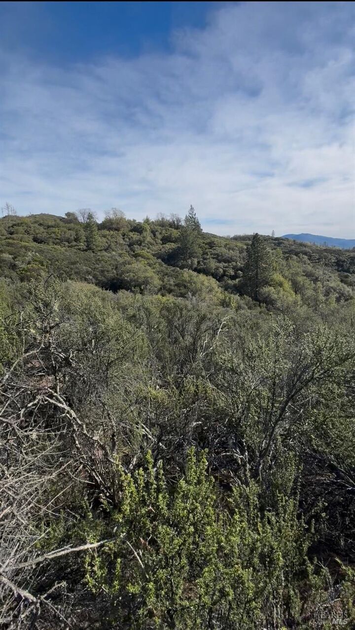 Property Photo: 7700 8 W 25 Trail CA 95458