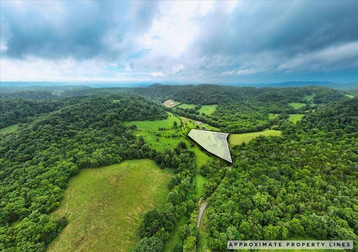 Property Photo:  0 Opossum Paw Road  TN 37018 