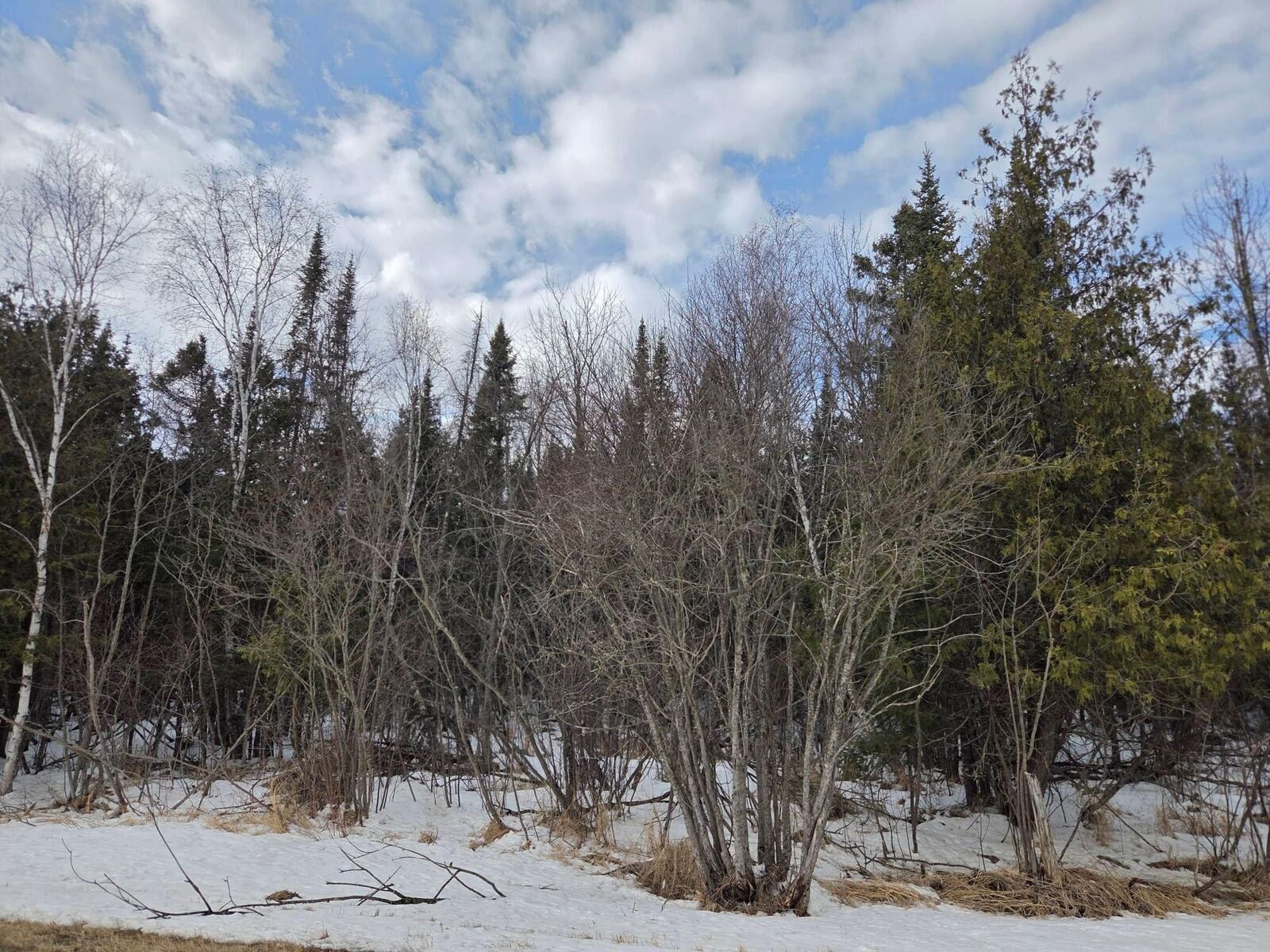 Property Photo:  Tbd Three Mile Road NE  MN 56630 