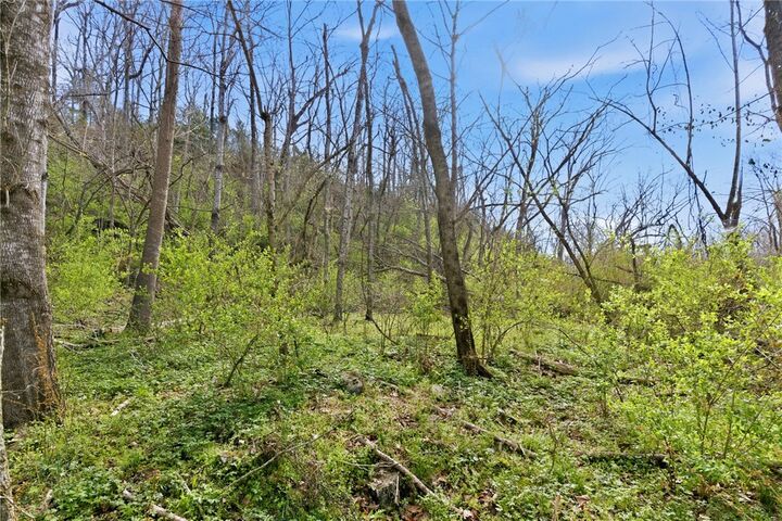 Property Photo:  12782 Stoney Point Road  AR 72758 