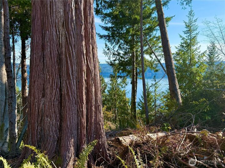 Property Photo:  65  Devereaux Drive  WA 98555 