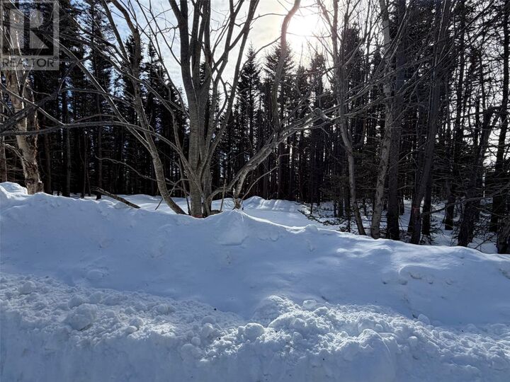 Property Photo:  38 Spruce Grove Road  NL A0K 3Z0 