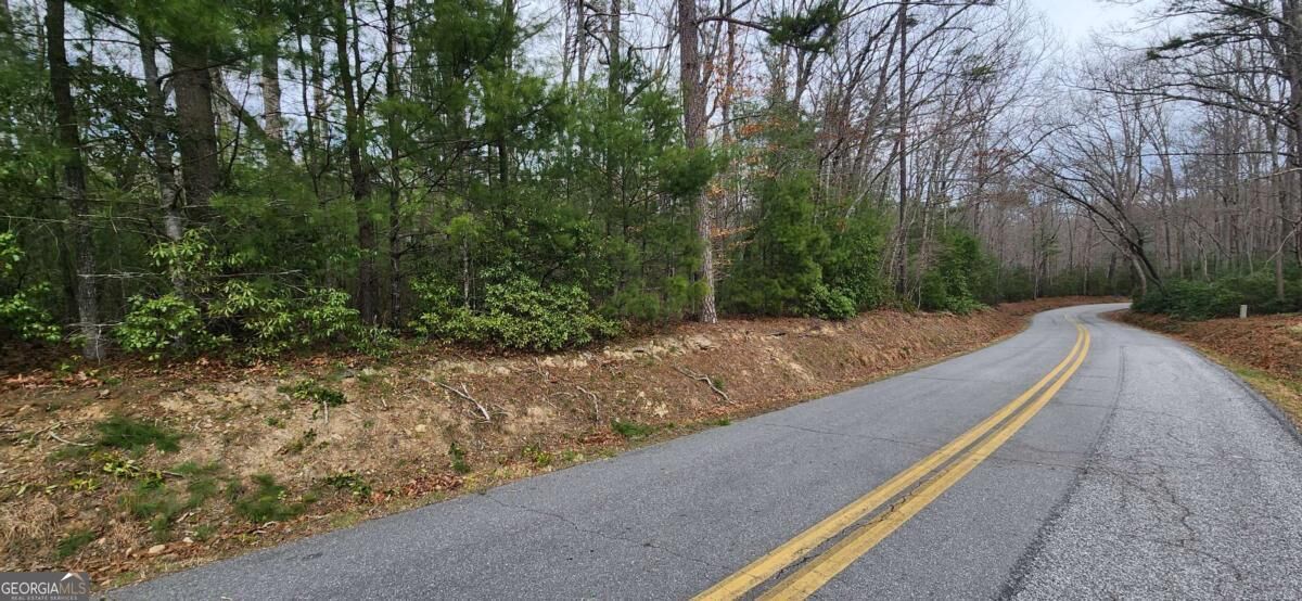 Property Photo: 9.95ac Hicks Gap Road GA 30512
