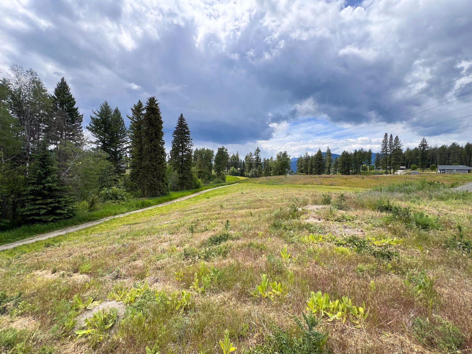 Property Photo:  2082 Whitetail Way  WA 99114 