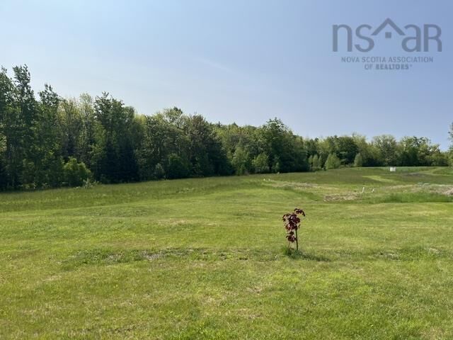 1129 McKenzie Mountain Road — photo 1
