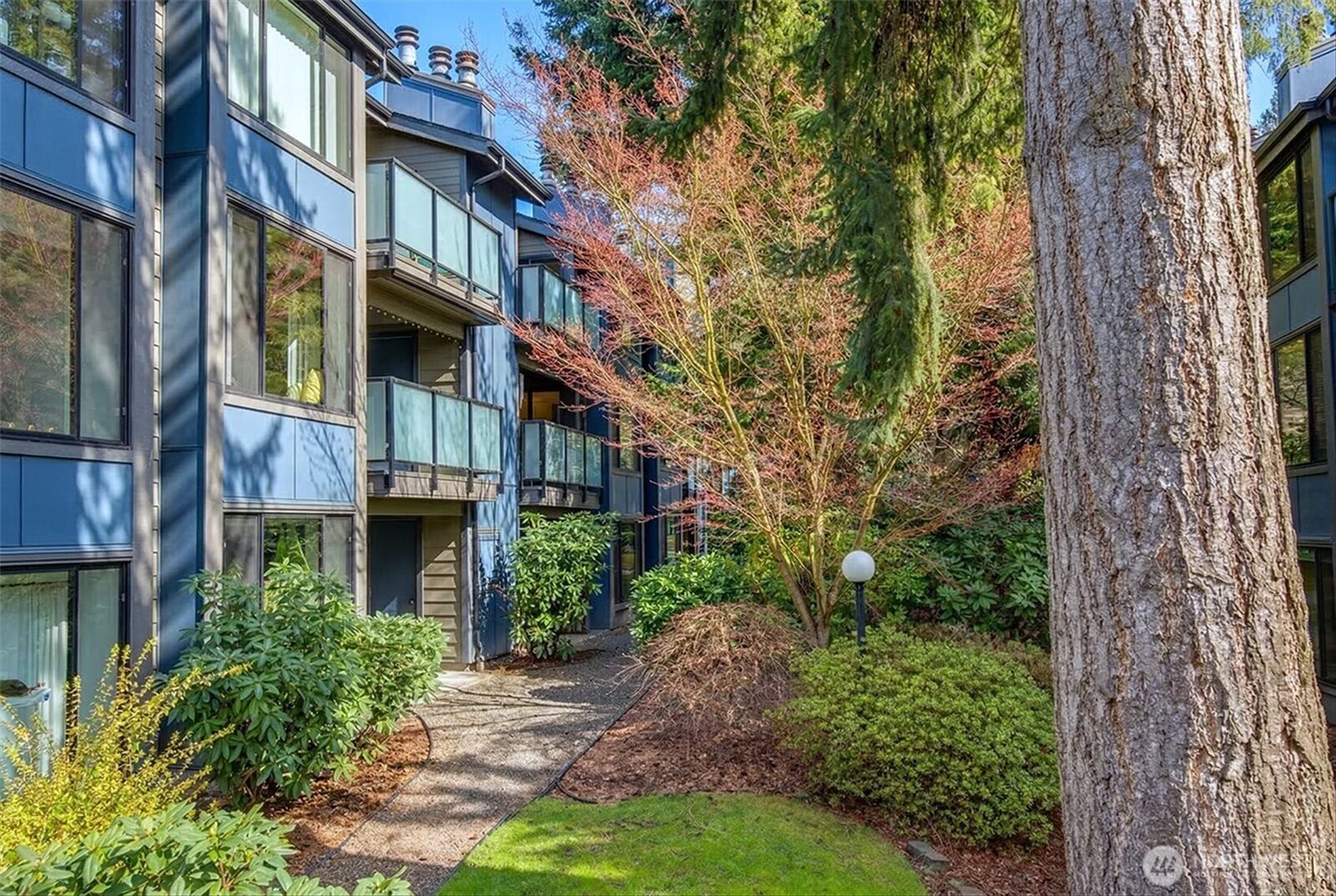 Property Photo:  1819 N 107th Street 204  WA 98133 