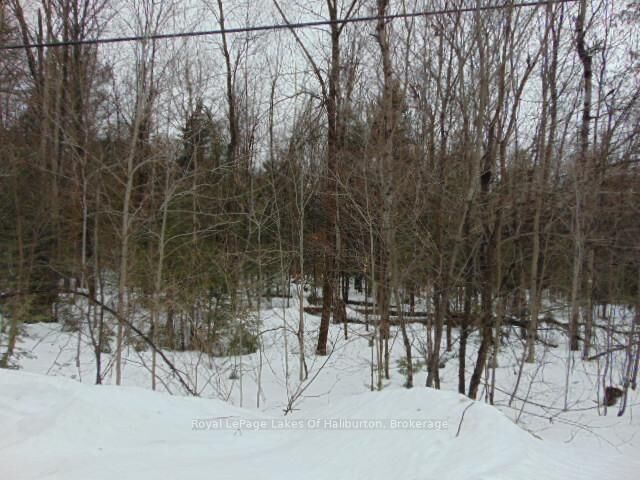 Property Photo:  Lot 11 Plan 580 North Drive  ON K0M 1S0 