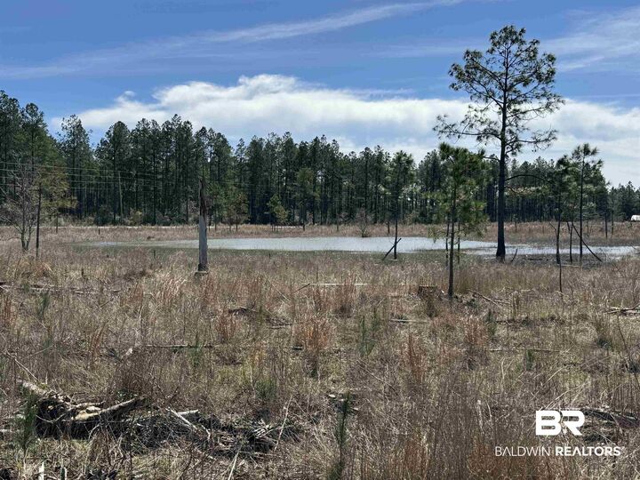 Property Photo: 2 County Road 64 AL 36567