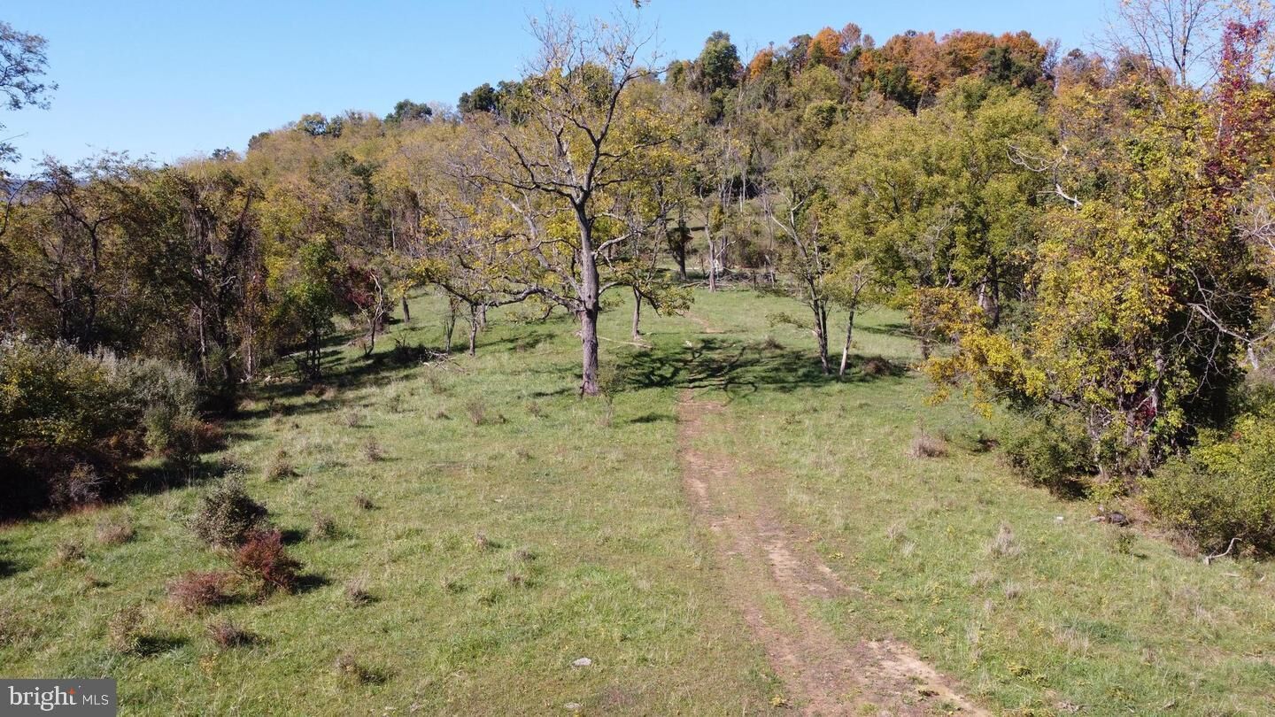 Property Photo:  Harley O. Staggers Dr  WV 26726 