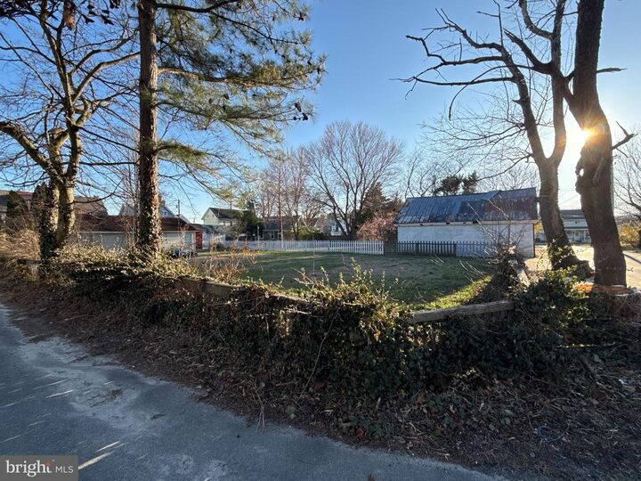 Property Photo:  116 Tilney Street  DE 19968 