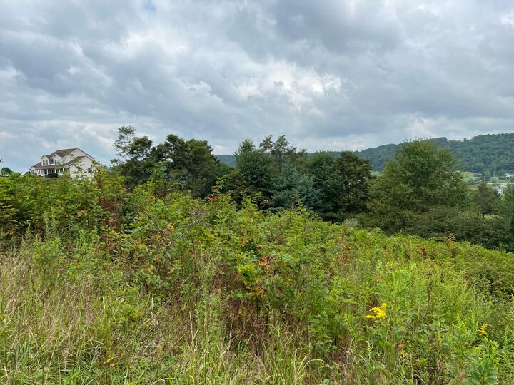 Property Photo:  Fairway View Drive  WV 24963 