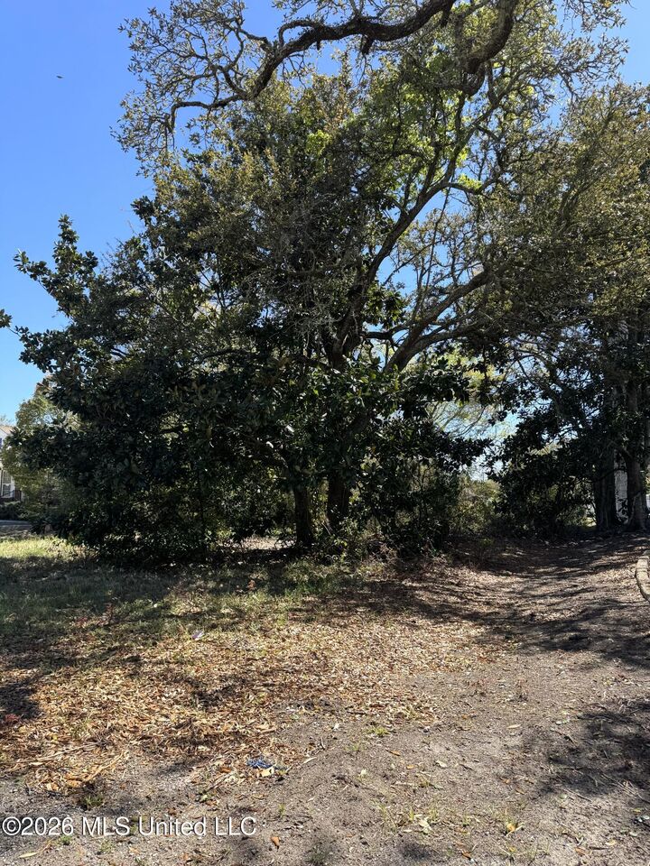 Property Photo:  0 Jackson Avenue  MS 39567 