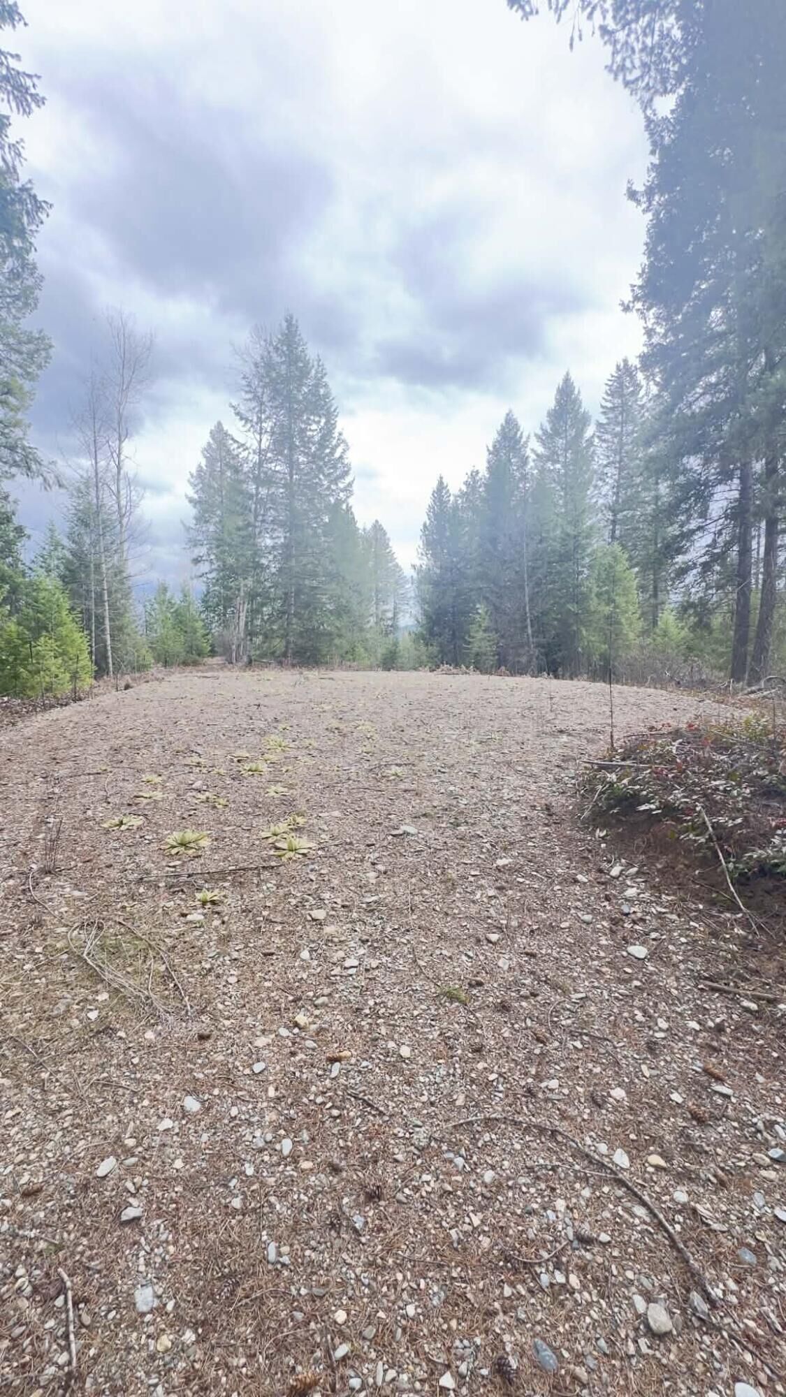 Property Photo: Nkn Wilderness Ave WA 99139