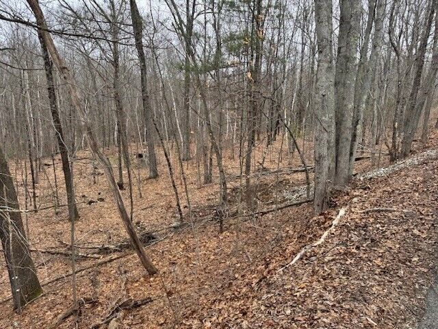 Property Photo:  Lot 2 Gould Road  MA 01507 