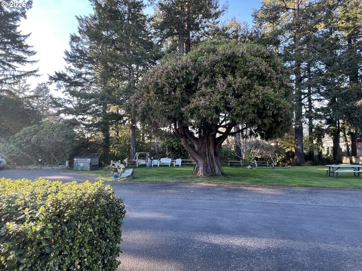 Property Photo:  16063 Driftwood Ln 12  OR 97415 