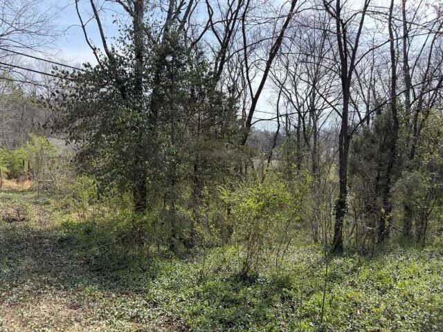 Property Photo:  132 Rays Branch Road  KY 42101 