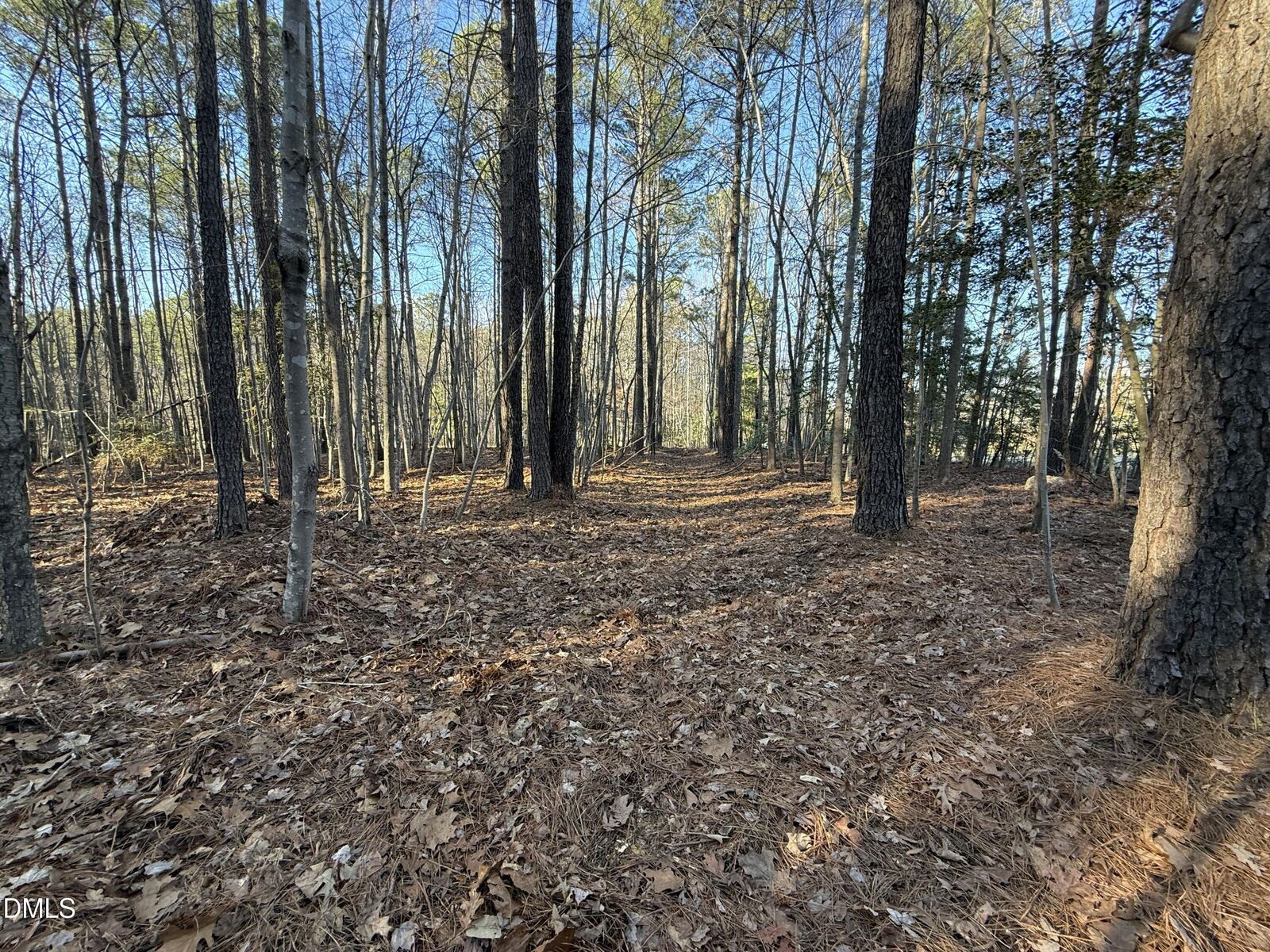 Property Photo:  01 Massey Road  NC 27597 