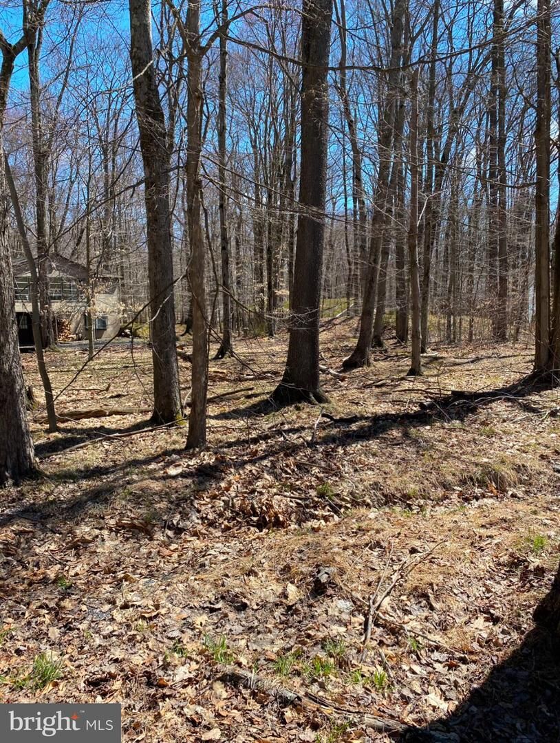 Property Photo:  301 Tommy Lane  PA 18347 