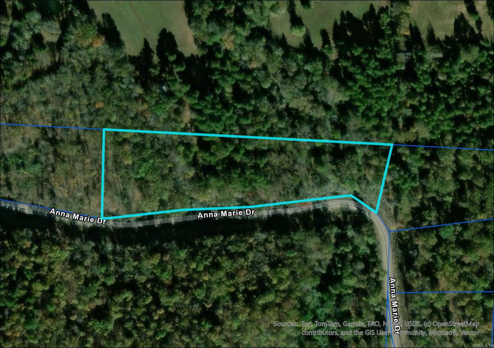 Property Photo:  Lot 17 Anna Marie Drive  AR 72157 