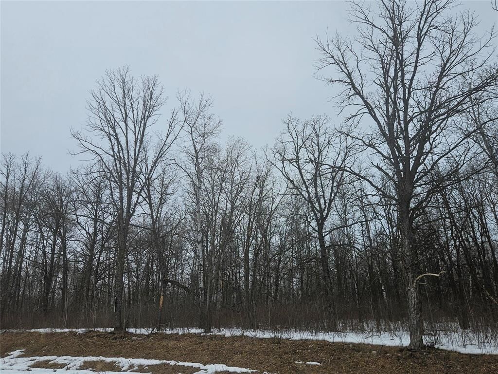 Photo de la propriété:  57 Lilac Lane  MB R0A 0W2 