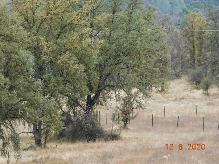 Property Photo:  32705 E Sycamore Road  CA 93667 