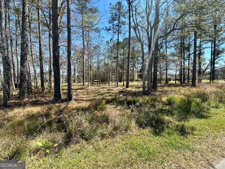 Property Photo:  102 Trail South  GA 31320 