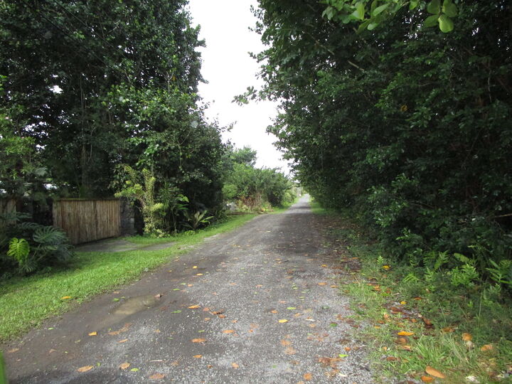 Property Photo:  Amau Rd  HI 96749 