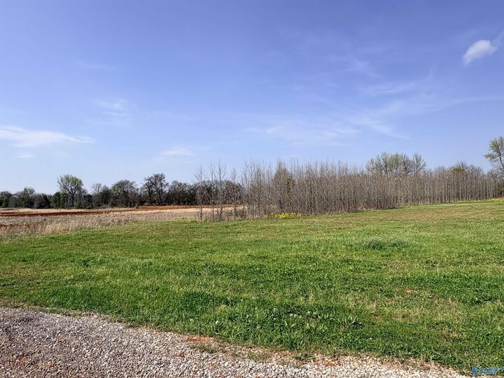 Property Photo:  23713 Old Homeplace Way  AL 35613 