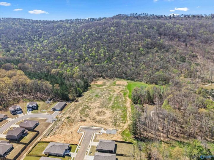 Property Photo:  15 Acres Feather Way  AL 35763 