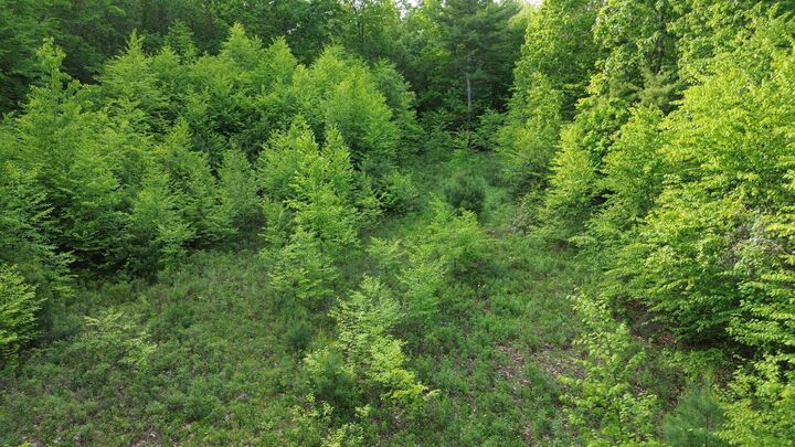 Property Photo:  Tbd Old Concord Turnpike  NH 03825 