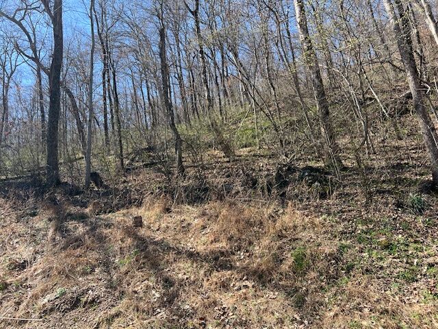 Property Photo:  44 Wildcat Drive  AR 72631 