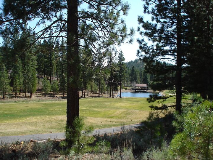 Property Photo:  404 Blacktail Ridge 2  CA 96122 