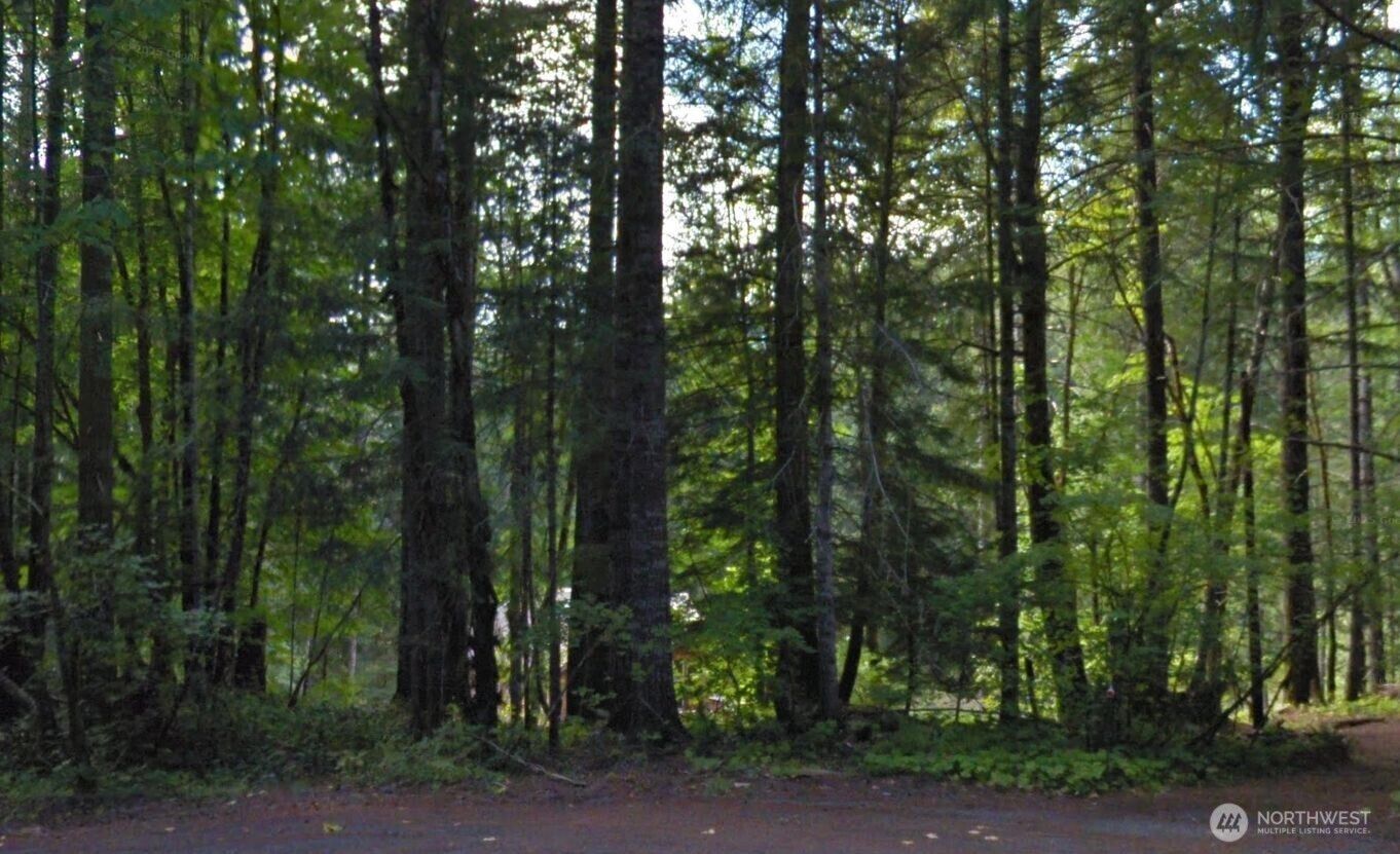 Property Photo:  0  Cottonwood Road  WA 98361 