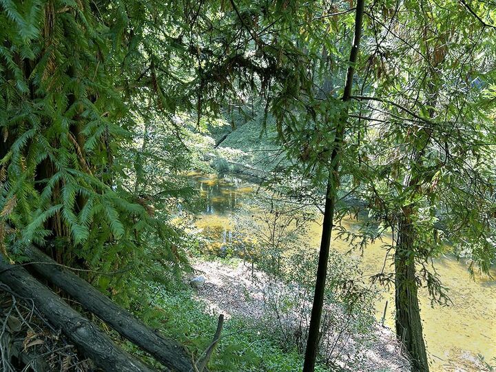 Property Photo:  11085 Riverside Road  CA 95007 