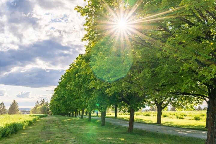 Property Photo: Nka E Day Mt Spokane Rd Green Bluff WA 99021