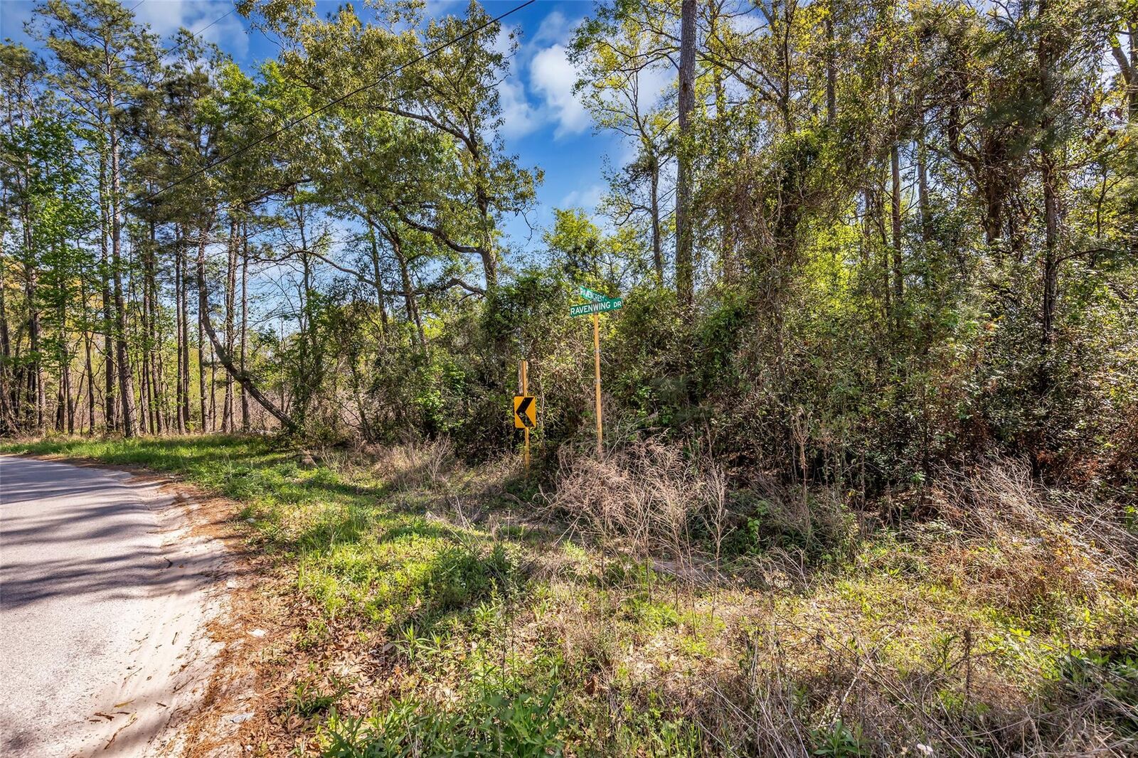 Property Photo: Lot 139 Ravenwood Drive TX 77365