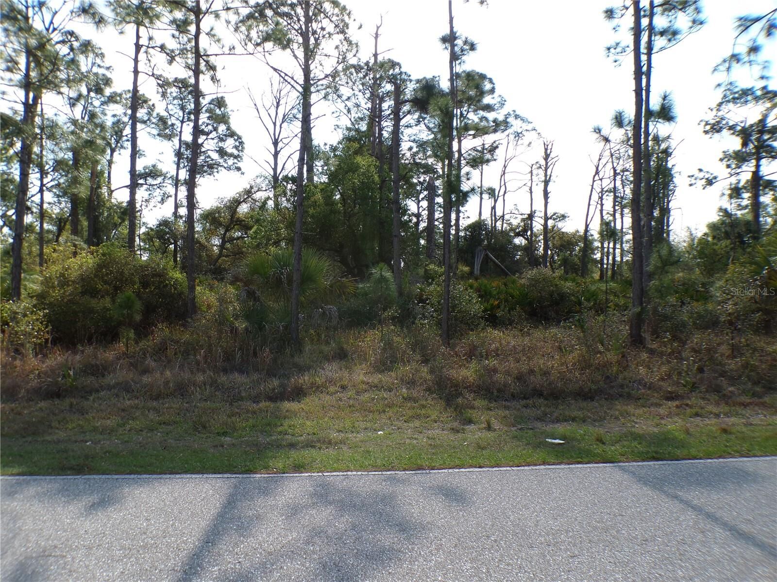 Property Photo:  13495 Eisenhower Drive  FL 33953 