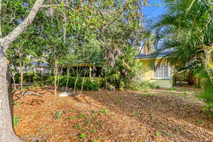 Property Photo:  224 Lyndhurst Street  FL 34698 