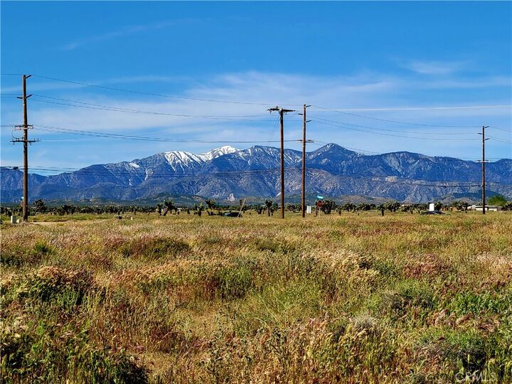 Property Photo:  0 Phelan  CA 92371 