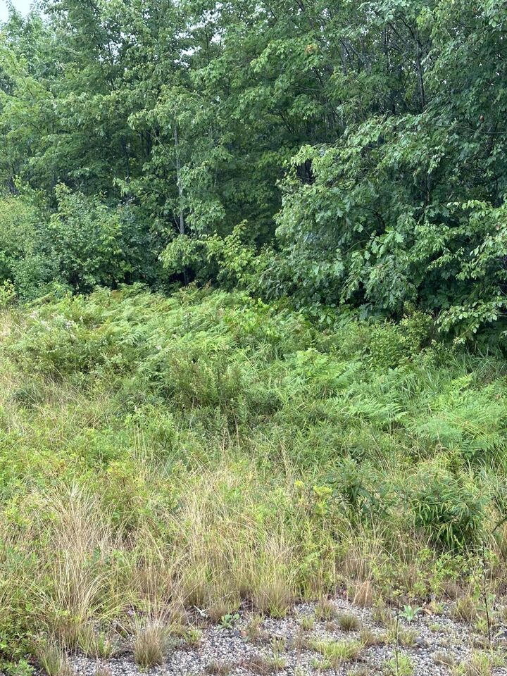 Property Photo:  Lot 60 Tenan Lane  ME 04622 