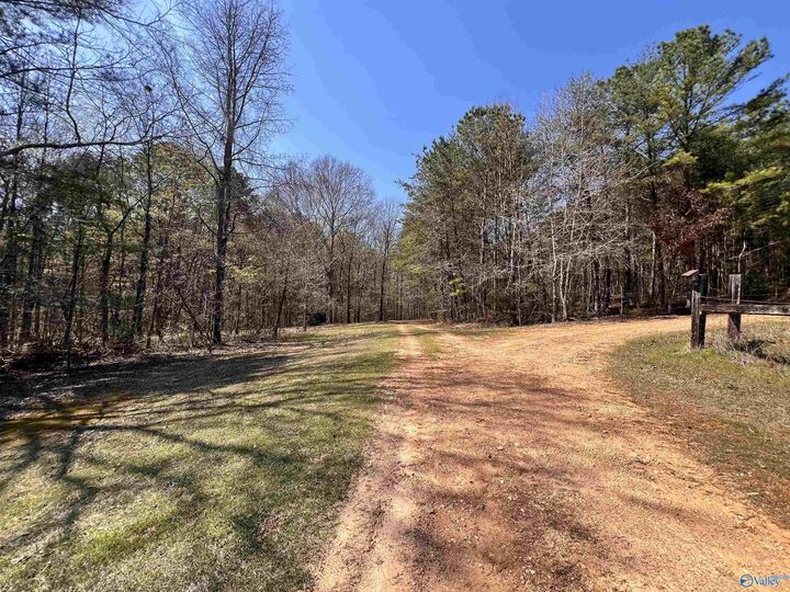 Property Photo:  163 Acres Duck Springs Road  AL 35954 
