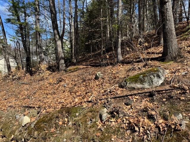 Property Photo:  Lot 185 Nutter Drive  NH 03809 