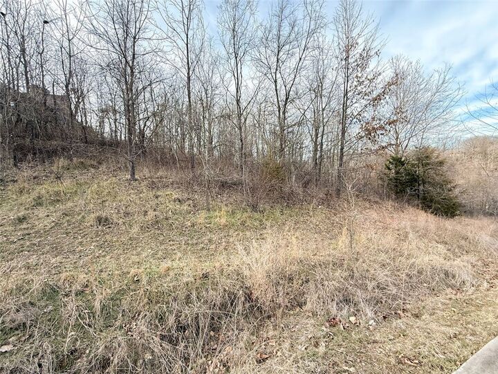 Property Photo: Lot 8 Chalybeate Drive AR 72768