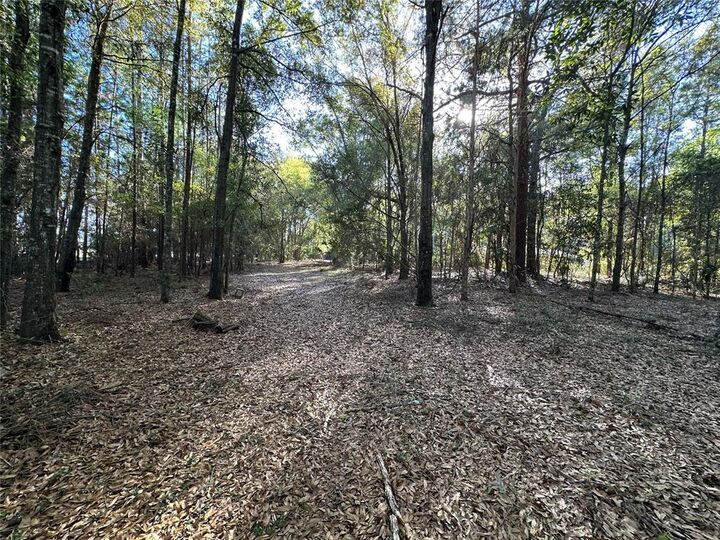Property Photo: Lot 28-30 Radio Avenue FL 32097